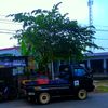 beuti_areuy96