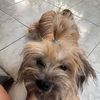 oficial_rrbecca