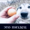 rismakatov2
