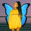 ariantors_ari_il