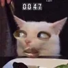 vivienseas