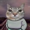 cats_fordays