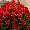 user9z35biuk8m
