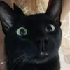 vymelloo
