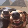 un_.pocp._d_todo527
