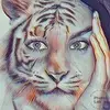 ..ysha