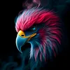 asim_0310