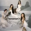 mmmcompany1