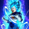 blackvegeta1991
