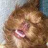 zoey.the.master_17
