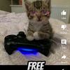 agent_mohammad1fn