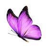 angelinacalderon00