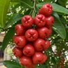 hendrigunawan38