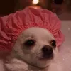 malenaaguero014