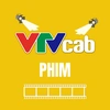 VTVcab Film