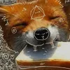 katkat_1sn0t_h3re