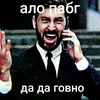 pleshny