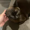 tpawpdjgxj983