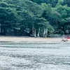 poiuytrewq098765437