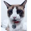 freerfang