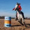 the_english_cowpony