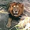 iajuneja007