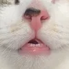 tyryryry01
