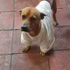 tinnw_27