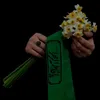 زهـراء