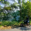 bor_ges04
