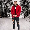 fittgeorgelaitl
