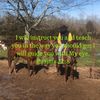 bosshosshorsemanship