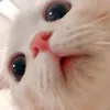 narakbabbyy