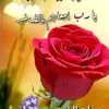 user7616962532457