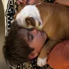 lucachid