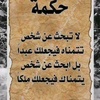 talal_181