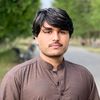 dilberkhantareen5