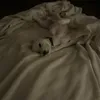 amipop96