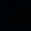 silvsdq1
