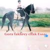 Afaqgujjar