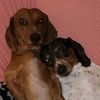 rugerandsnicks