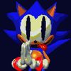 turles_collects