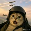 cat_ladron