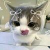 hola_16387