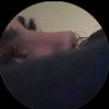 6raf_