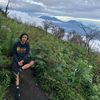 iimamsf