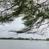 ikan.apa