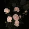 ta_la80