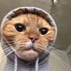 itsmemartian