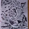 _drawingbyamber_